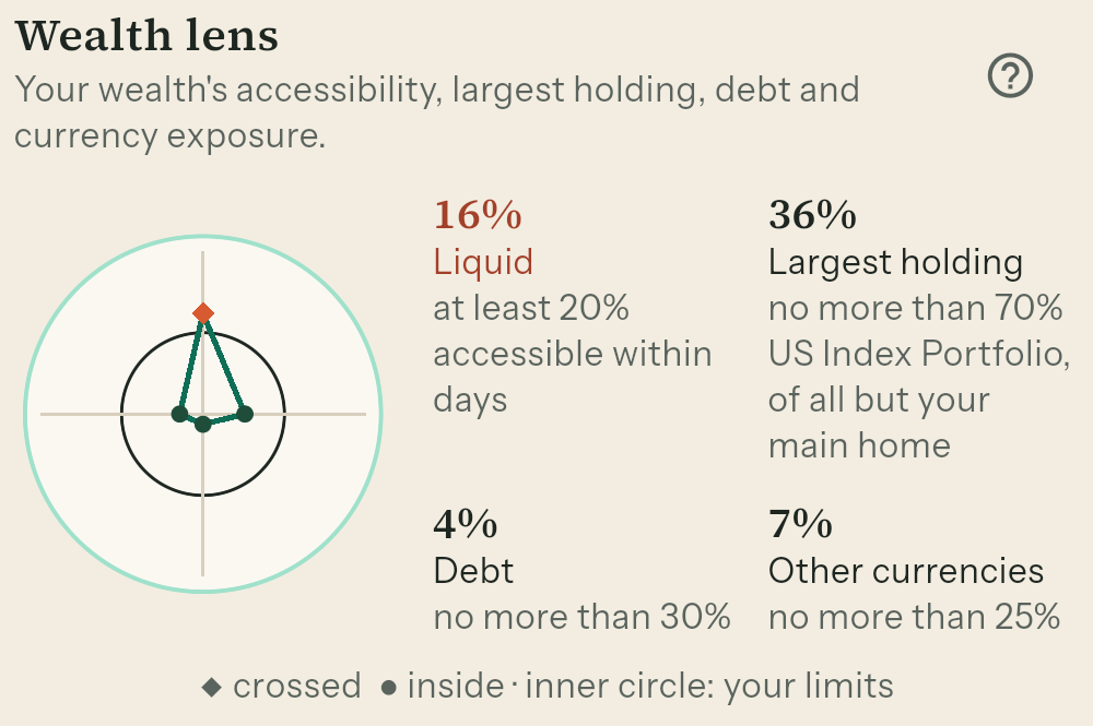 The Wealth lens: liquid 16% against at least 20%, crossed; largest holding 36%, debt 4%, other currencies 7%, all inside their limits.